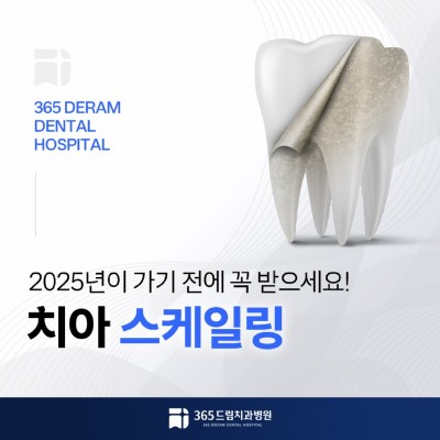 부산스케일링 썸네일_1.jpg